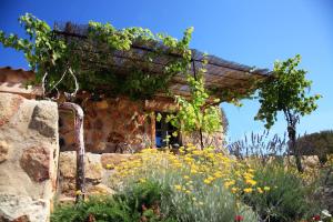 Villas Les Bergeries d'Arone : photos des chambres