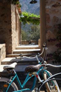 Villas Les Bergeries d'Arone : photos des chambres