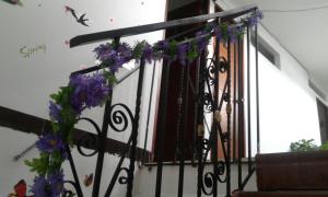 Hostal Balcony