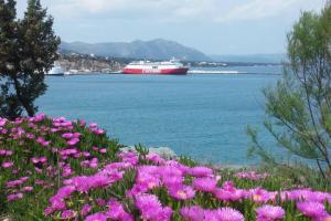 Overlooking the blue sea