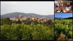 Maisons de vacances L'Oustaou du Luberon et SPA : photos des chambres