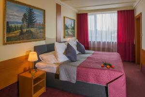 TOP HOTEL Praha