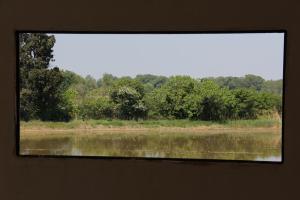 B&B / Chambres d'hotes Mas de Bouvet en Camargue : photos des chambres