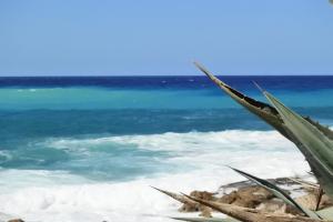 Kissonerga beach apartment - 3hvězdičkové hotely ve městě Pafos