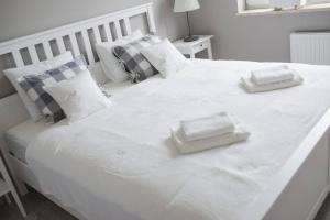 Apartament Nastilet