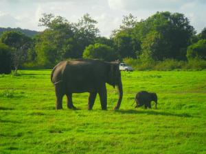 River Retreat Sigiriya