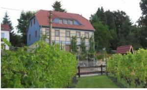 Апартамент In der alten Weinstube Фрайталь Германия