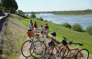 Maisons de vacances Gite Nature Loire et Chateaux 3* : photos des chambres