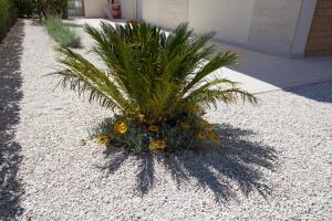 Casa Prima Fila Mare