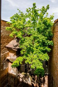 Nice apartment near Rynok Square є кондиціонер світла не вимикали