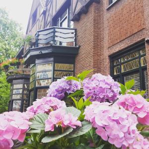 Vakantiewoning Guesthouse MOMO