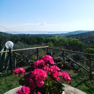 Namas Casa Emilia Tuoro sul Trazimenas Italija