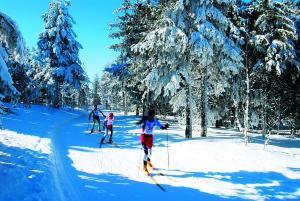 Villages vacances VVF Jura Les Rousses : photos des chambres