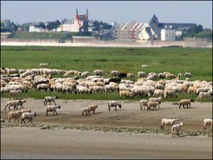 Regard Sur La Baie