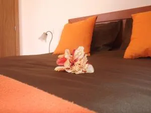 Maison de l' Épicier - Nossa Senhora do Monte