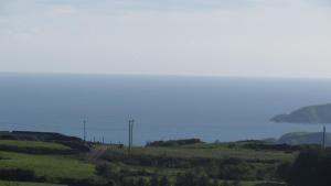 Ocean View