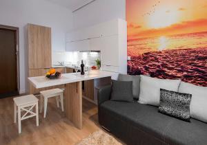 Studia Atlantic