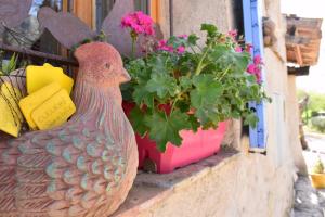 Maisons de vacances Gite De Groupe : photos des chambres