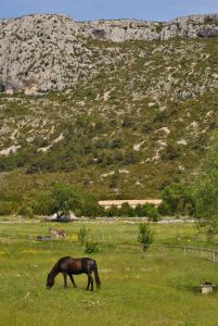 Maisons de vacances Gite De Groupe : photos des chambres