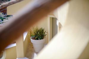 Domu Simius Life Style Hotel img56