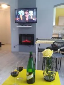Apartament Grosik - 杜什尼基-兹德鲁伊