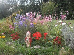 Chez Janou photo 9
