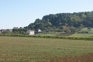 B&B / Chambres d'hotes Le Verger des Hautes-Cotes de Nuits : photos des chambres