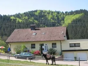 Ferienwohnung Dörflinger - Lierbach