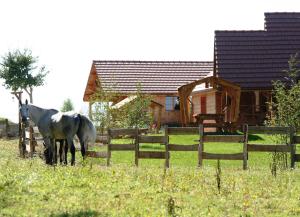 Maisons de vacances Le Hameau des Grilles : photos des chambres