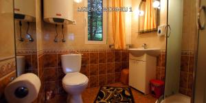 Bieszczady Sosnowa Aleja