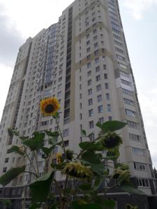 Apartment on Yuvilejnyj avenue