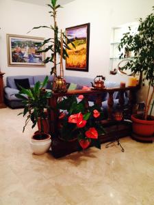 La tua Casa a Firenze con parcheggio privato per 2 auto