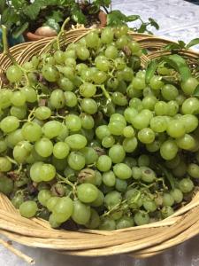 Grikos Hotel Patmos Patmos Greece