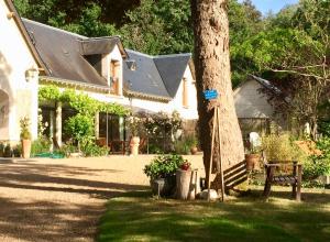 B&B / Chambres d'hotes Domaine de Joreau : photos des chambres