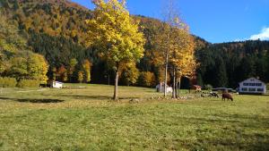 Chalets Chalet pour amoureux de la nature avec vue sur le lac de Retournemer : photos des chambres