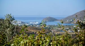 Villa Pergola Andros Andros Greece