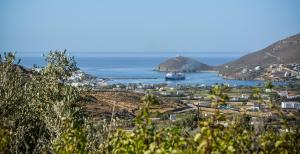 Villa Pergola Andros Andros Greece