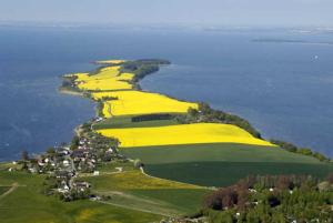 Karolas Landhus unterm Reetdach