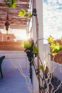 Dimora Storica Monopoli