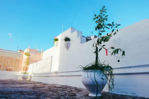 Dimora Storica Monopoli