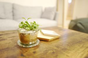 Kiyoicho Tians House