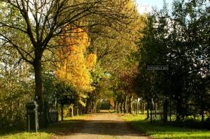 B&B Landgoed Sonneborghe