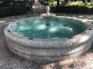 Jardim Das Flores Luxury Apartment