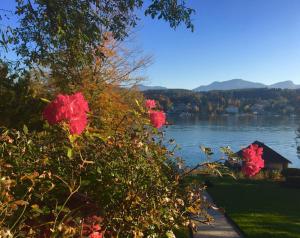 Hotel Seeschlossl Velden 4 Star Luxury Hotel In Velden Am