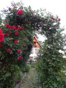Pensiunea Paradis