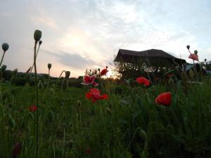 Pensiunea Paradis