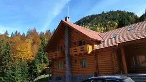 Pensiunea Izbucul Tauz - Gheţari