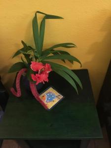 Cabinas Guarana