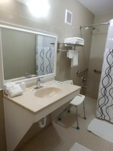 Siesta Inn McAllen