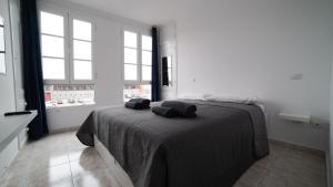 Harbour Apartment With Sea View